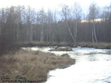 Пологие берега р. Альтерэльвэн