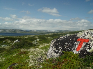 DNT – крупнейшая организация с более чем 220 тыс. участниками и 56 отделениями по всей стране от Кристиансанда на юге до мыса Нордкап на севере.