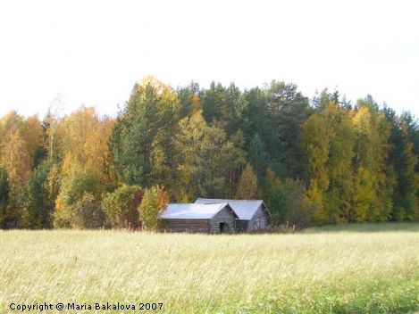 Симпатичные домики - лада - на самом деле сеновалы, сарайчики для сена.