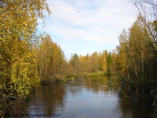 Река Альтерэльвен (Alteralven), которая протекает через Норрфъерден (Norrfjarden)