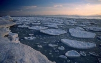 Воды арктических морей