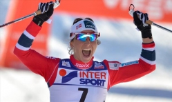 Норвегия: кража результатов антидемпингового контроля 
