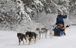 Катание на собачьих упряжках (Dog sledding)