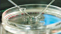 Швеция: in vitro для женщин замужних и имеющих партнеров