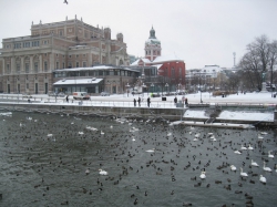 Королевская опера в Швеции