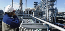 В Норвегии собаки следят за состоянием газопровода