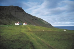 Ферма Ferðaþjónustan Borg в Исландии